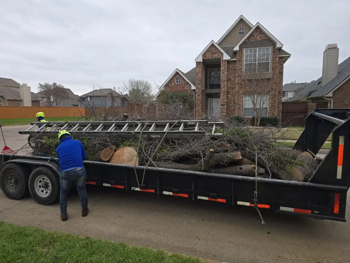 Expert Tree Removal with proper safety equipment in Spirit Lake